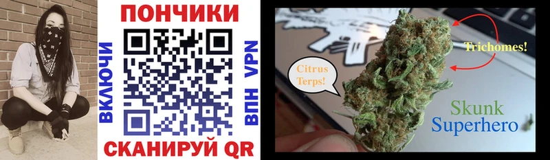 Конопля сатива Лебедянь